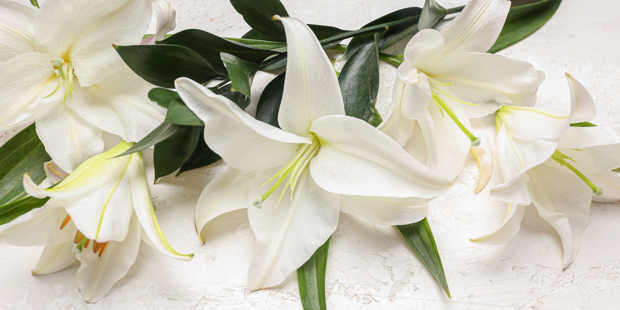 bereavement